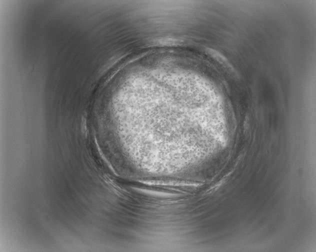 X0000074261209200609222142