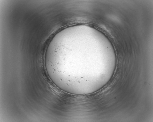 X0000074261211200609222142