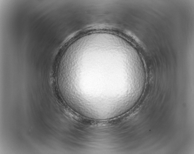 X0000074261213200609222142