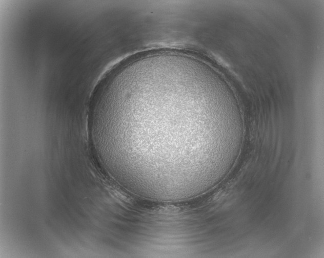 X0000074261214200609222142