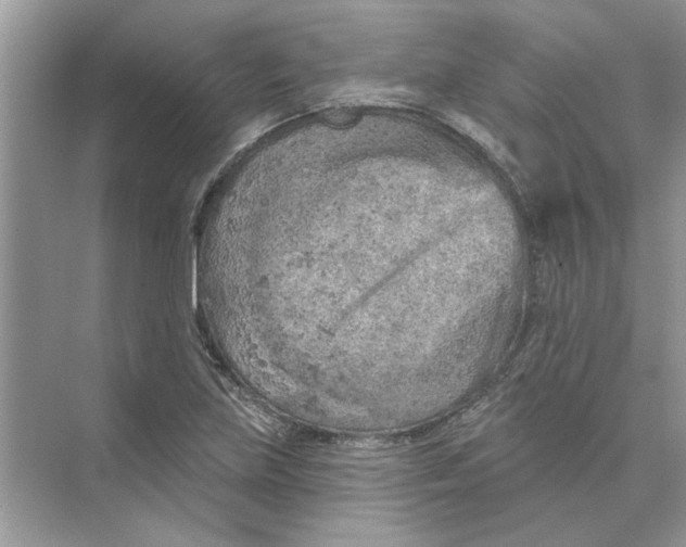 X0000074261219200609222142