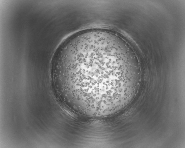 X0000074261222200609222142