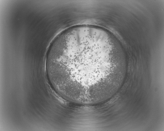 X0000074261224200609222142