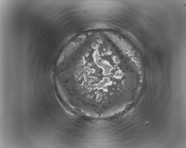 X0000074261225200609222142