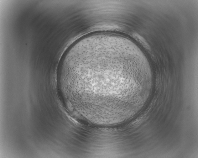 X0000074261226200609222142