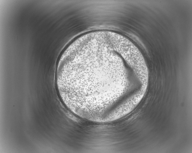 X0000074261228200609222142