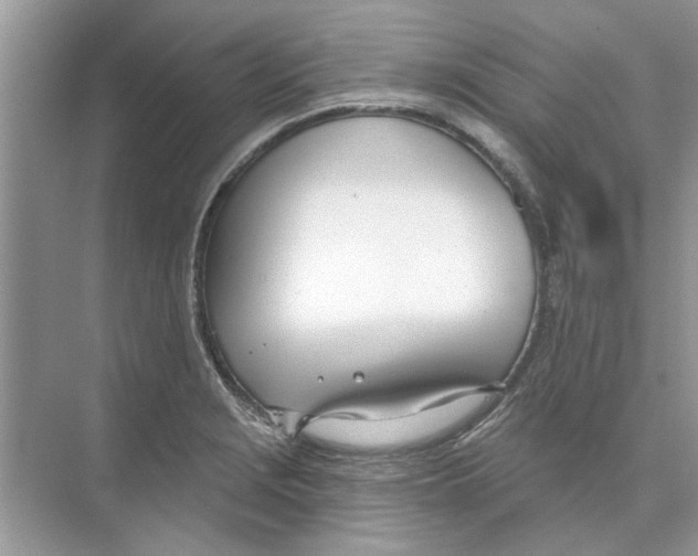 X0000074261229200609222142