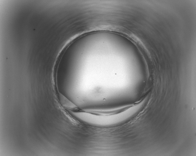 X0000074261230200609222142