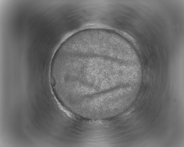 X0000074261231200609222142