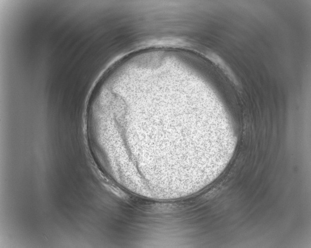 X0000074261232200609222142