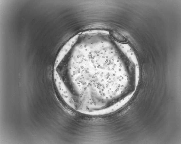 X0000074261233200609222142