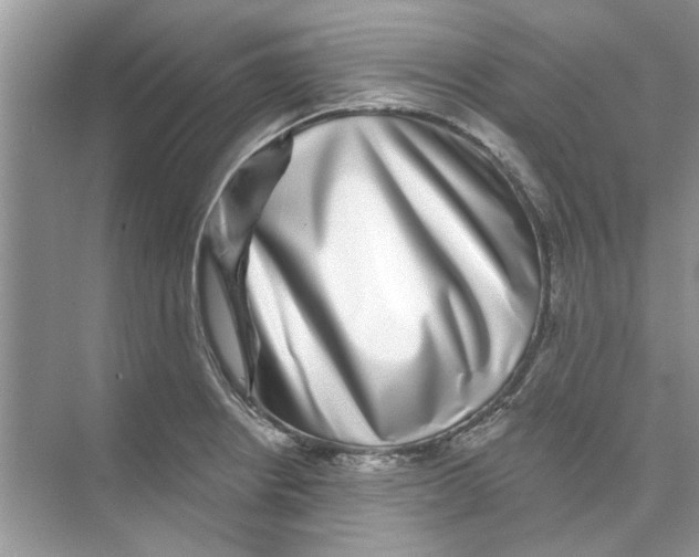 X0000074261234200609222142