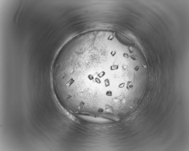 X0000074261235200609222142