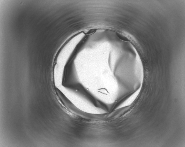 X0000074261236200609222142