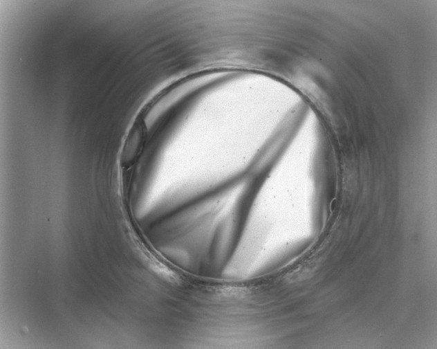 X0000074261238200609222142