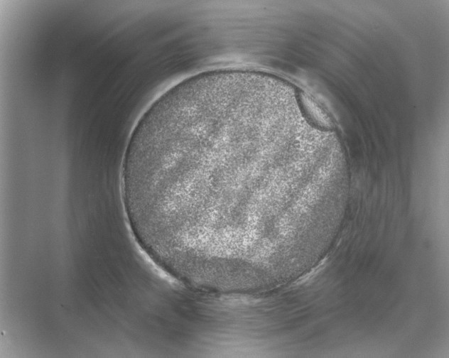 X0000074261239200609222142