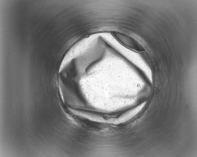 X0000074261241200609222143