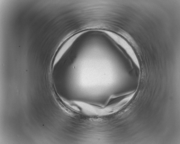 X0000074261242200609222143