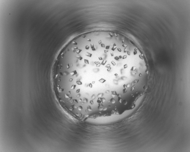 X0000074261243200609222143