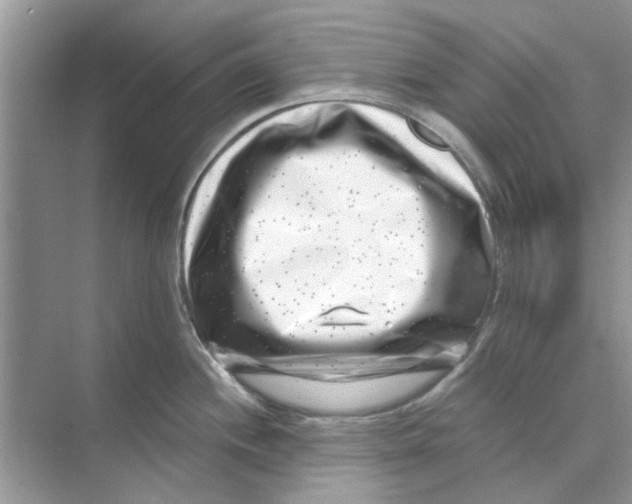 X0000074261244200609222143