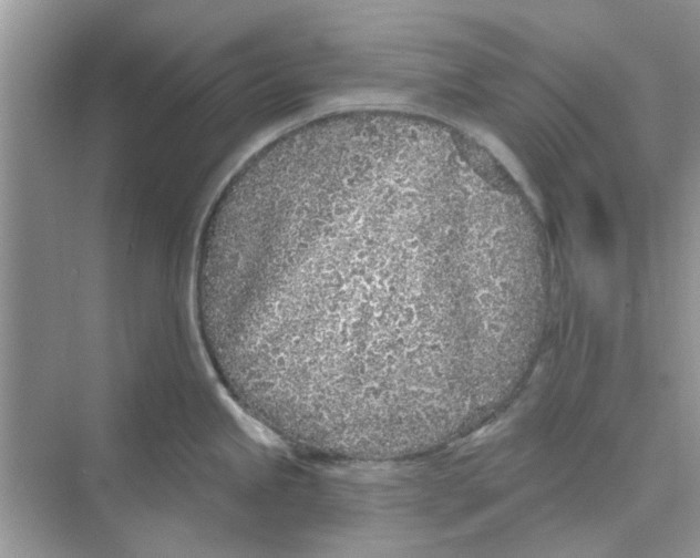 X0000074261245200609222143