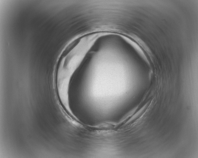 X0000074261246200609222143