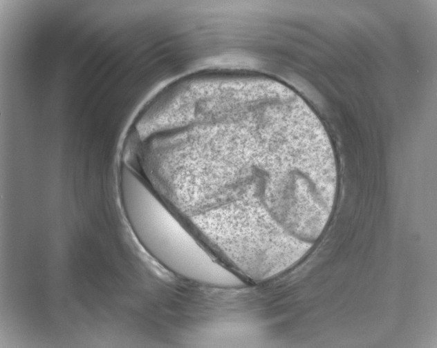 X0000074261248200609222143