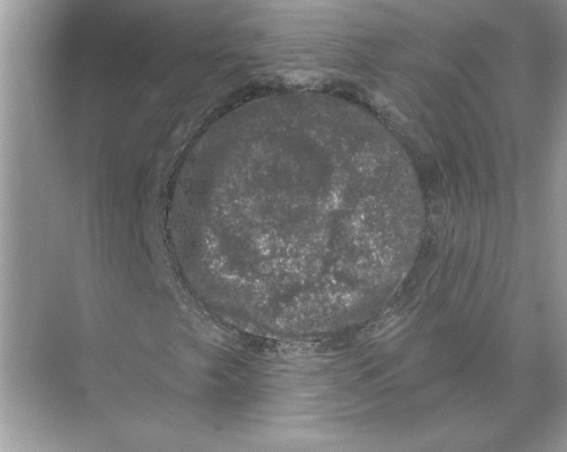 X0000074261249200609222142