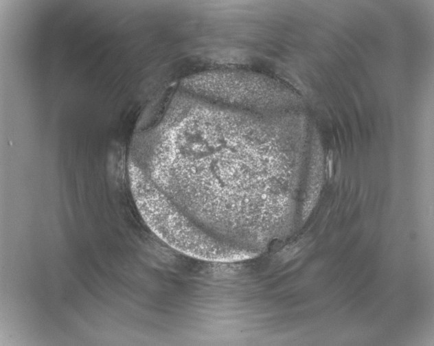 X0000074261251200609222142