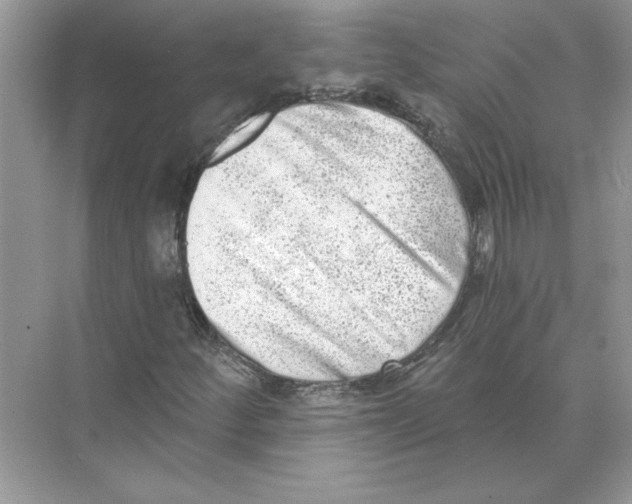 X0000074261252200609222142