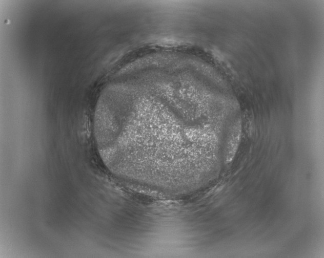 X0000074261253200609222142