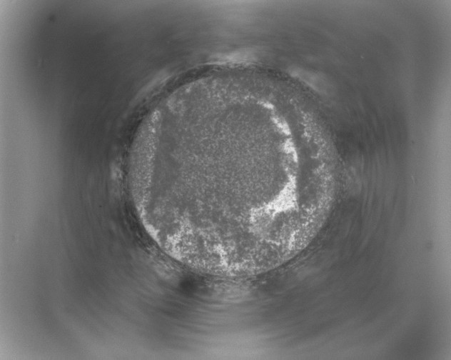 X0000074261254200609222142