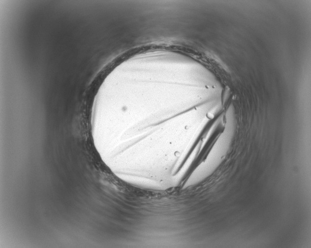 X0000074261256200609222142