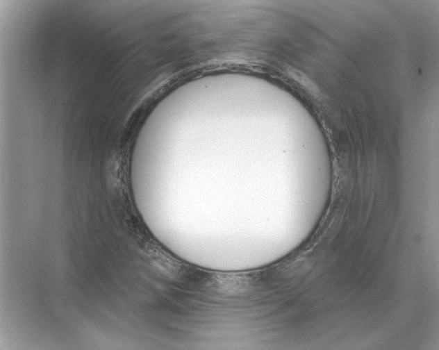 X0000074261258200609222142