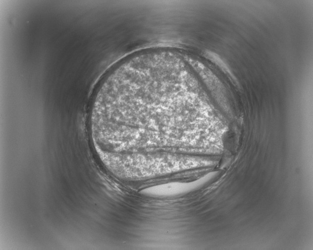 X0000074261260200609222142