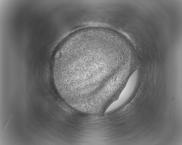 X0000074261263200609222142