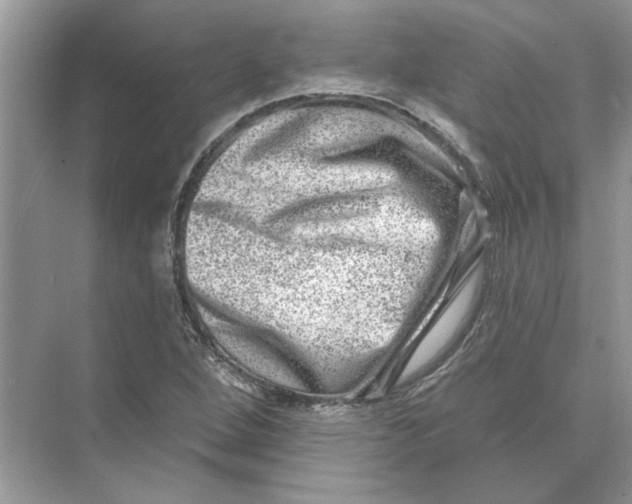 X0000074261264200609222142