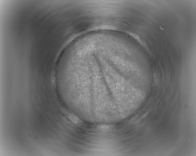 X0000074261266200609222142