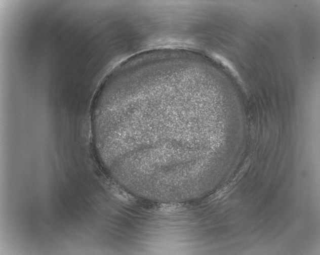 X0000074261267200609222142