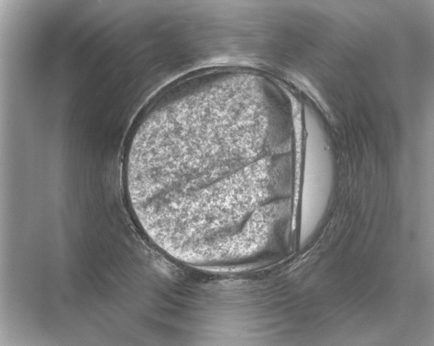 X0000074261268200609222141