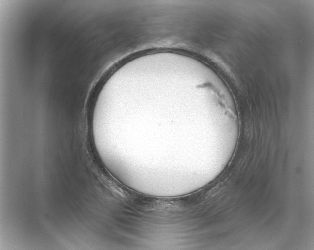 X0000074261270200609222141