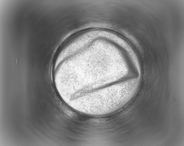 X0000074261272200609222141