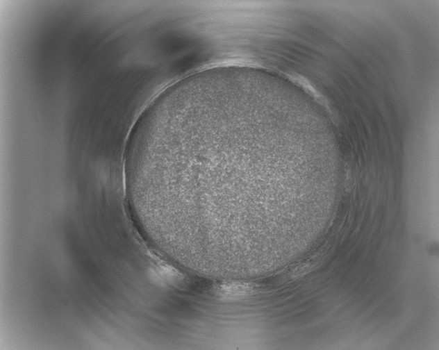 X0000074261274200609222141