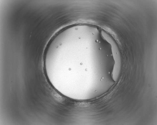 X0000074261280200609222141