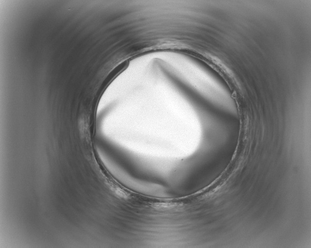 X0000074261281200609222141