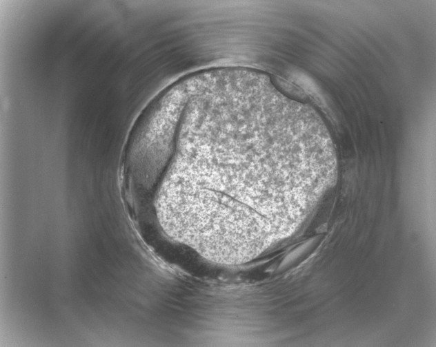 X0000074261284200609222141