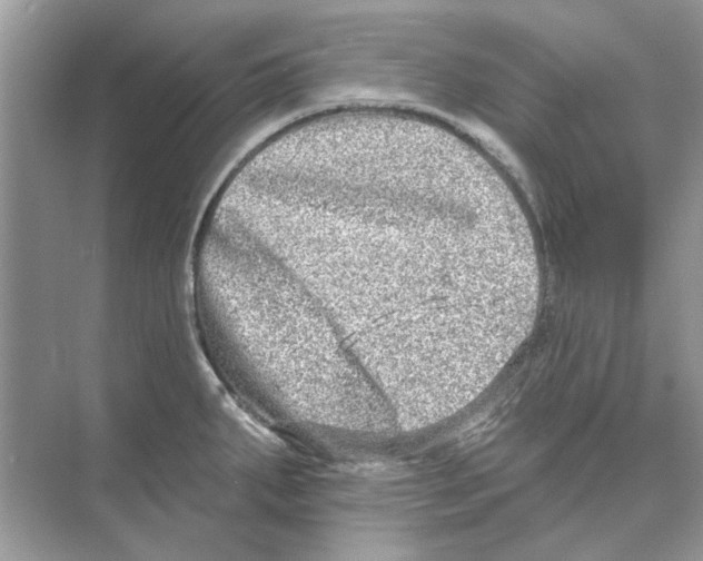 X0000074261287200609222141