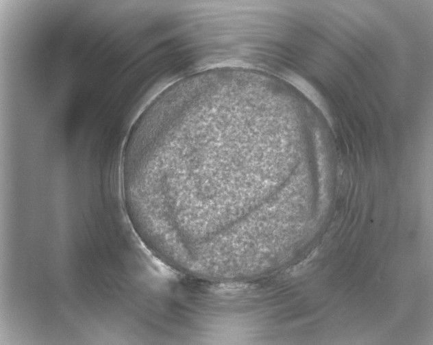 X0000074261290200609222141