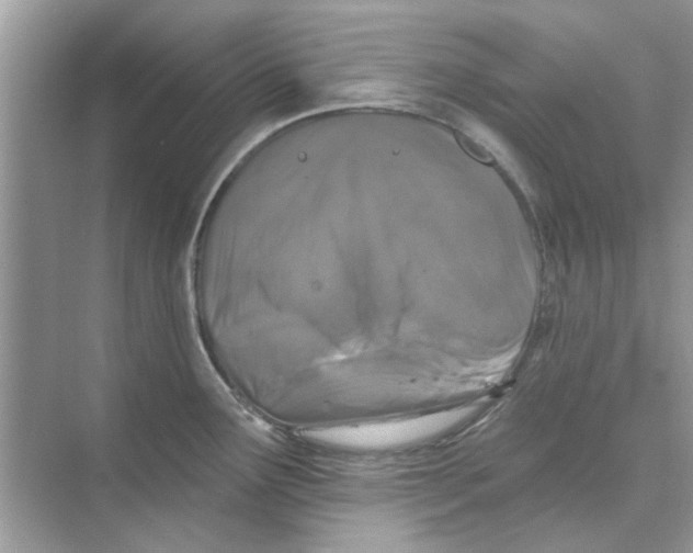 X0000074261291200609222141