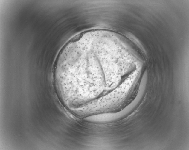 X0000074261292200609222141